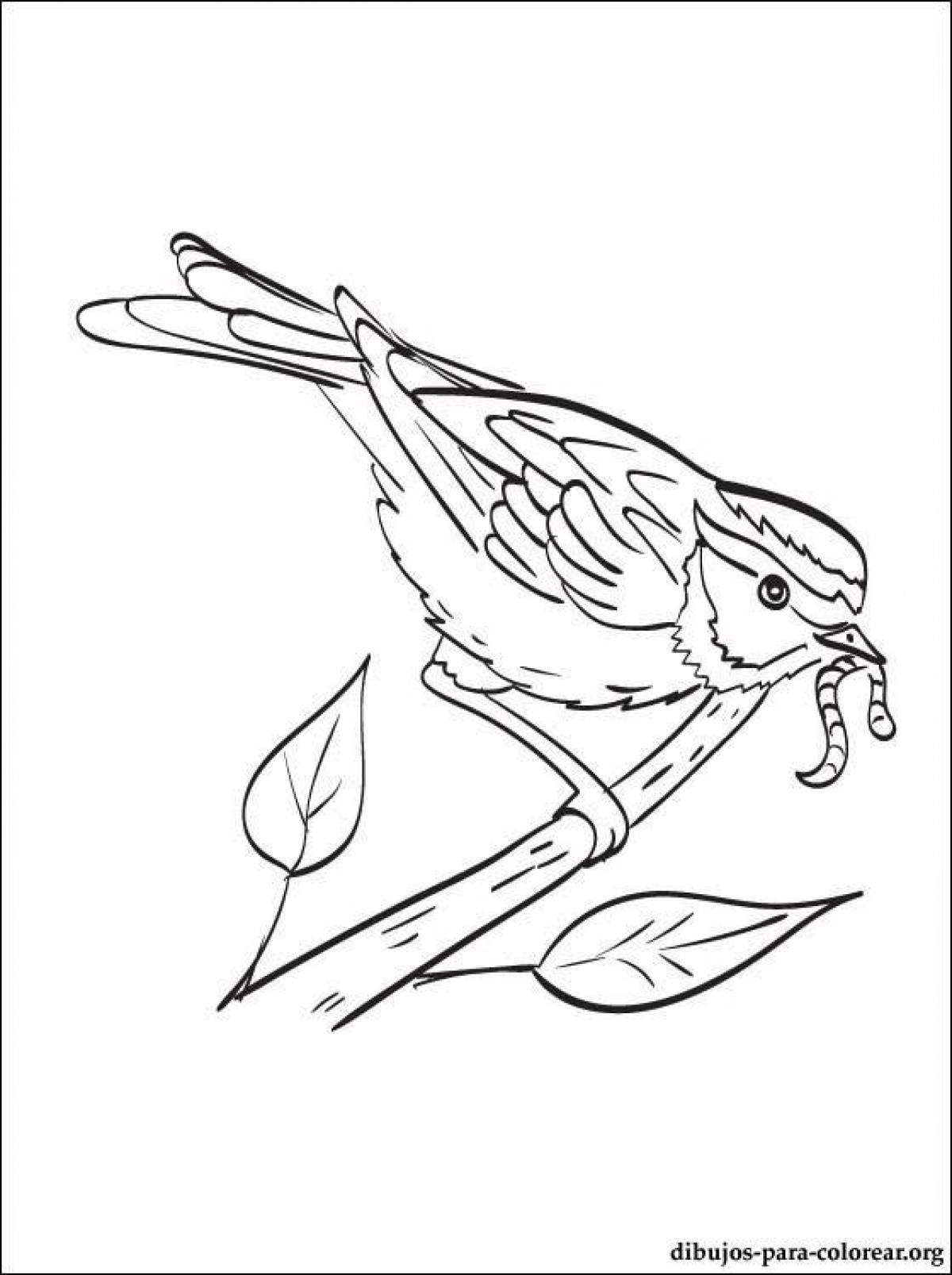 Beckoning disheveled sparrow