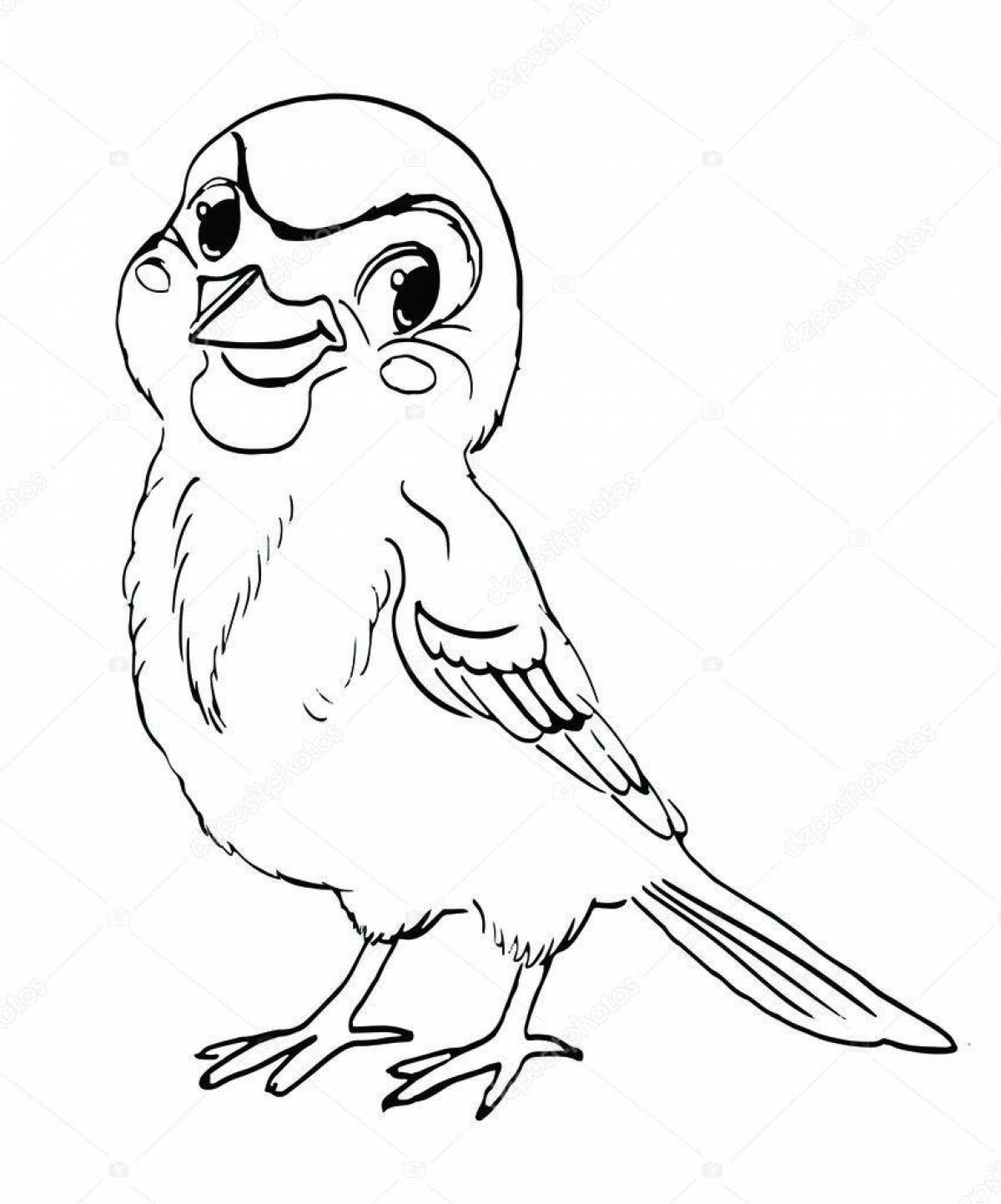 Jolly disheveled sparrow