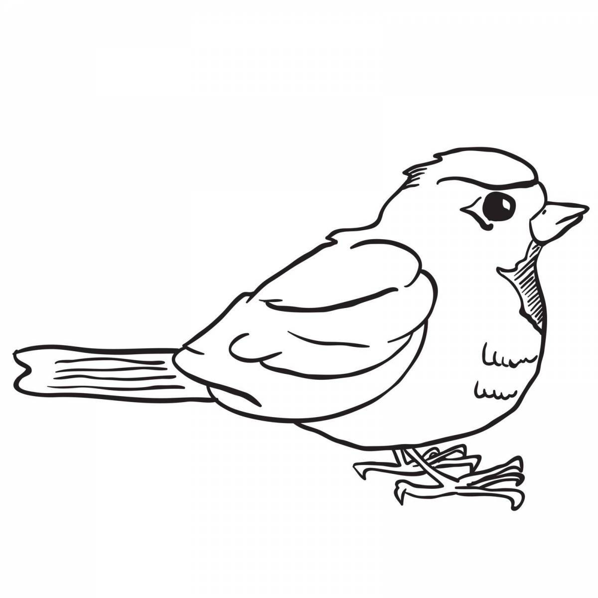 Disheveled sparrow #3
