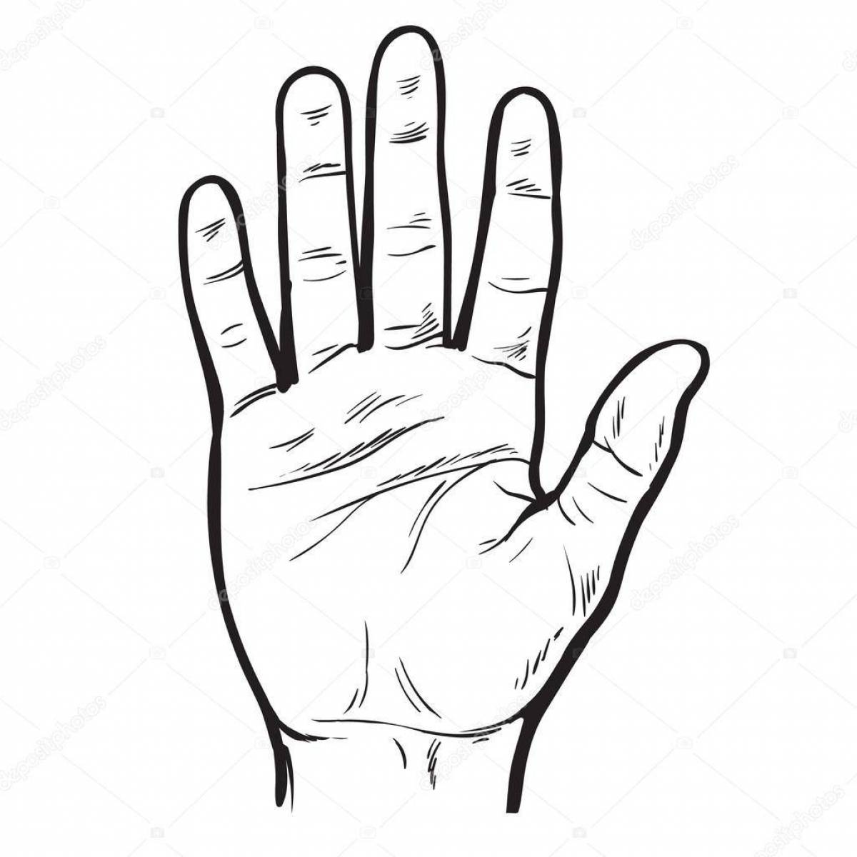 Графическое изображение рук