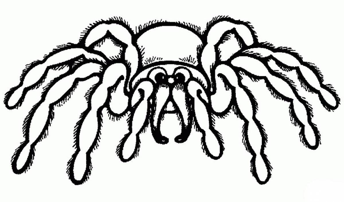 Яркая страница раскраски паука для детей