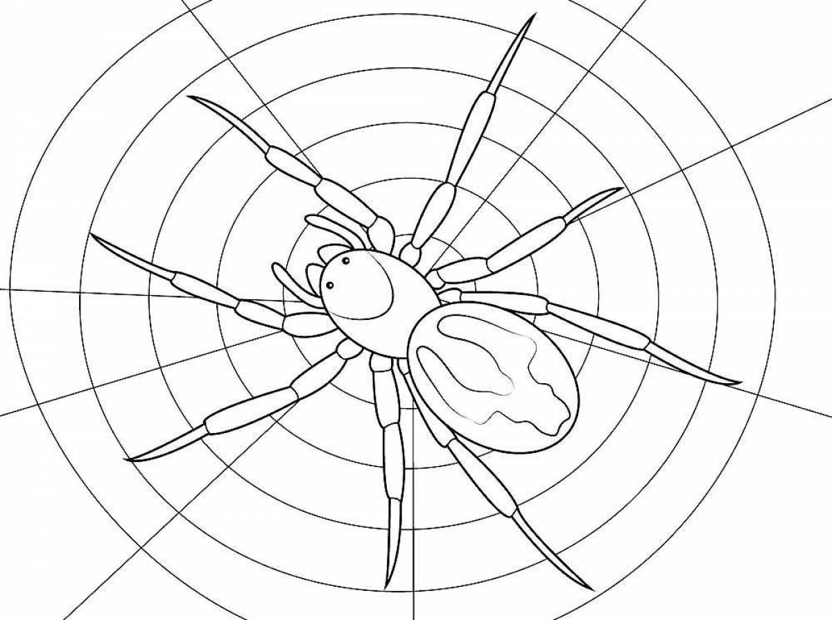 Очаровательная страница раскраски пауков для детей