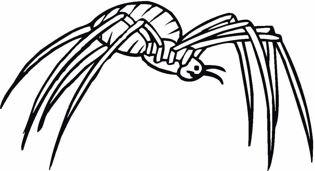 Creative spider coloring page for kids