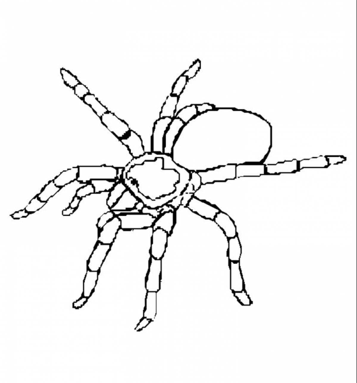 Яркая страница раскраски пауков для детей