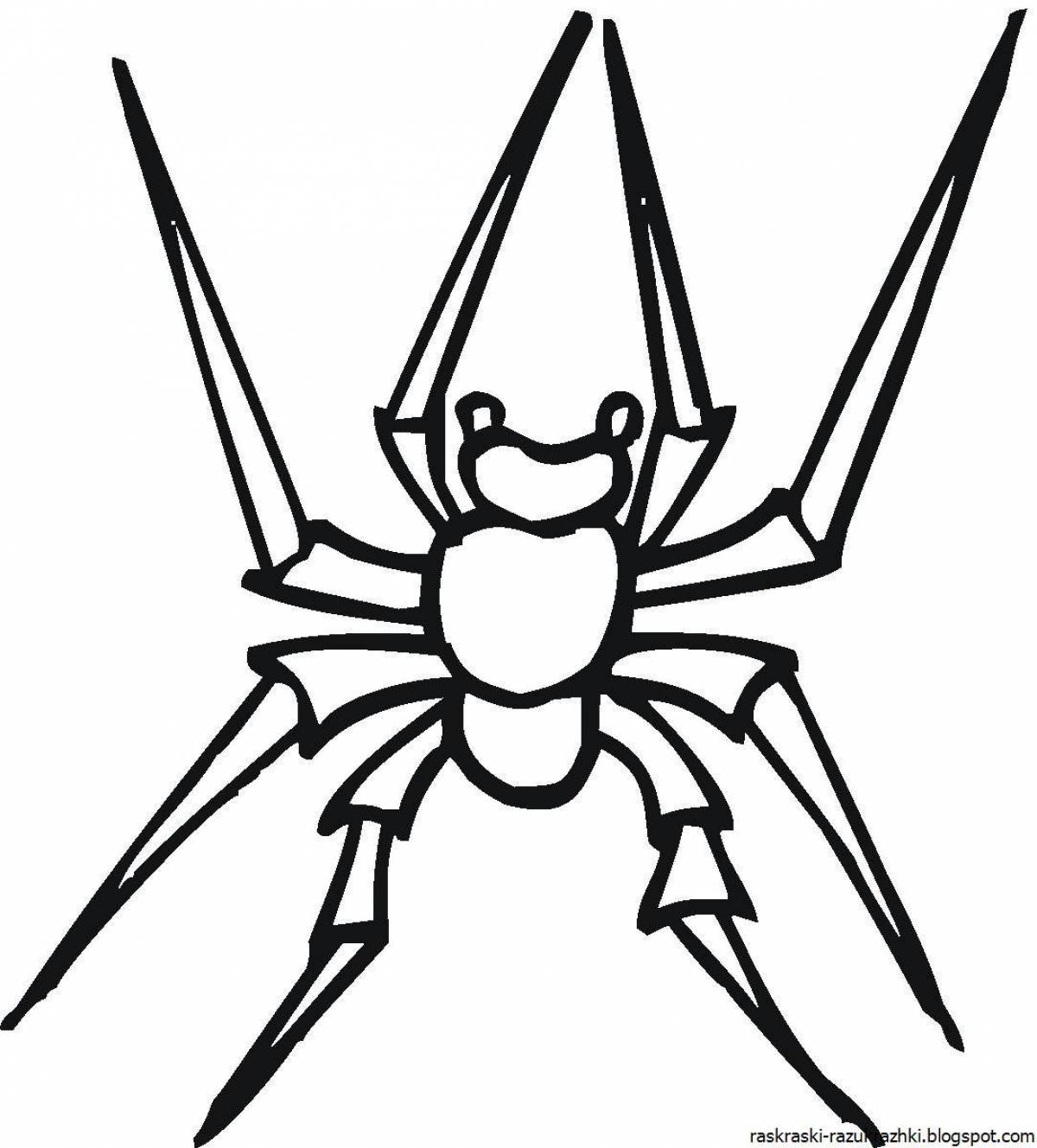 Colorful spider coloring pages for kids