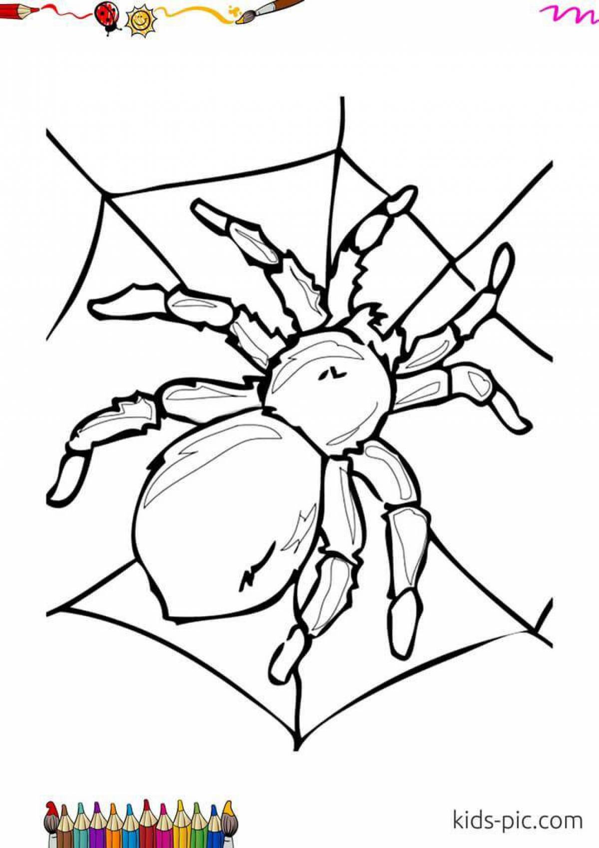 Сказочная страница раскраски пауков для детей