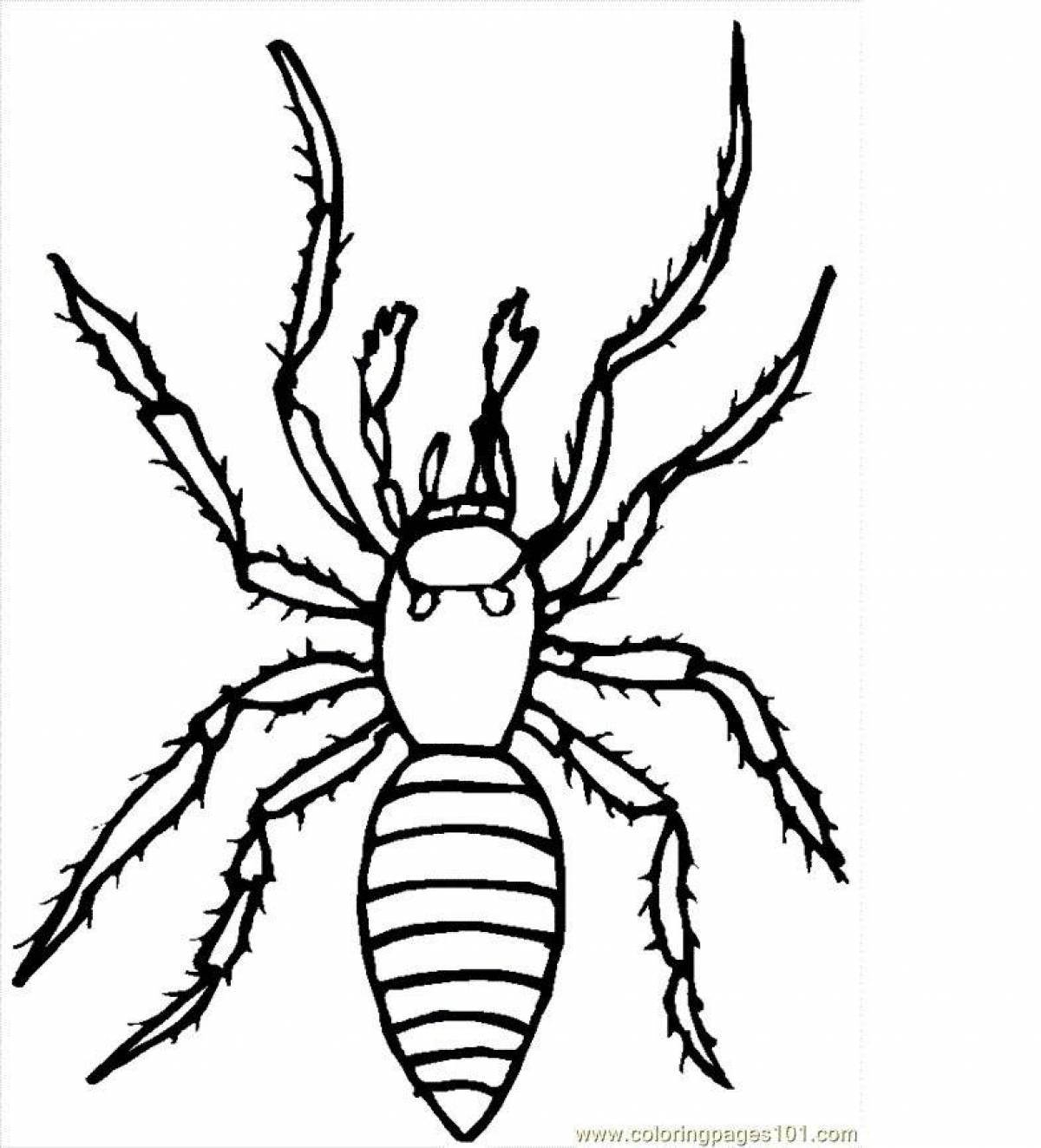 Cute spider coloring page for kids