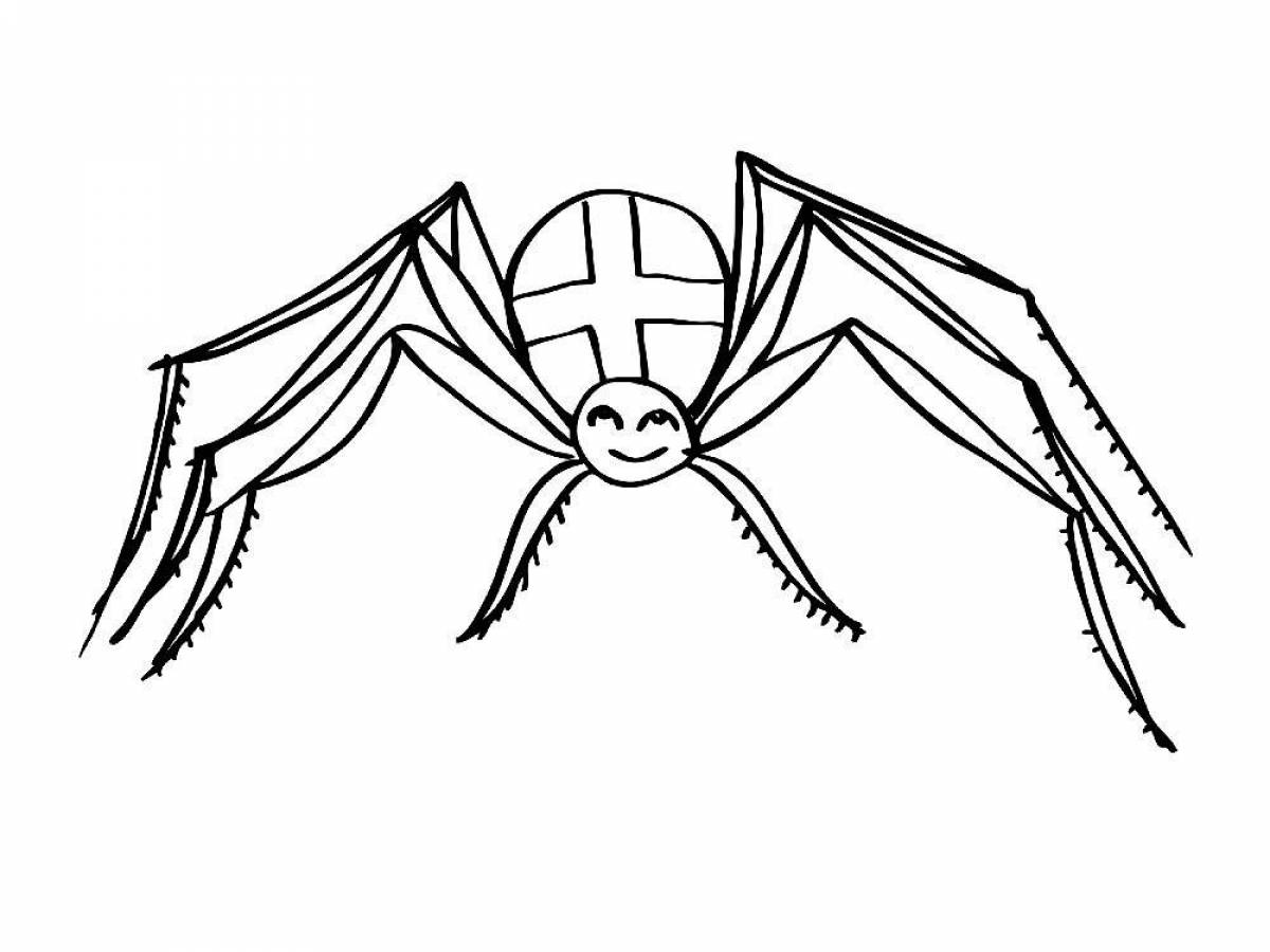Раскраска очаровательный паук для детей