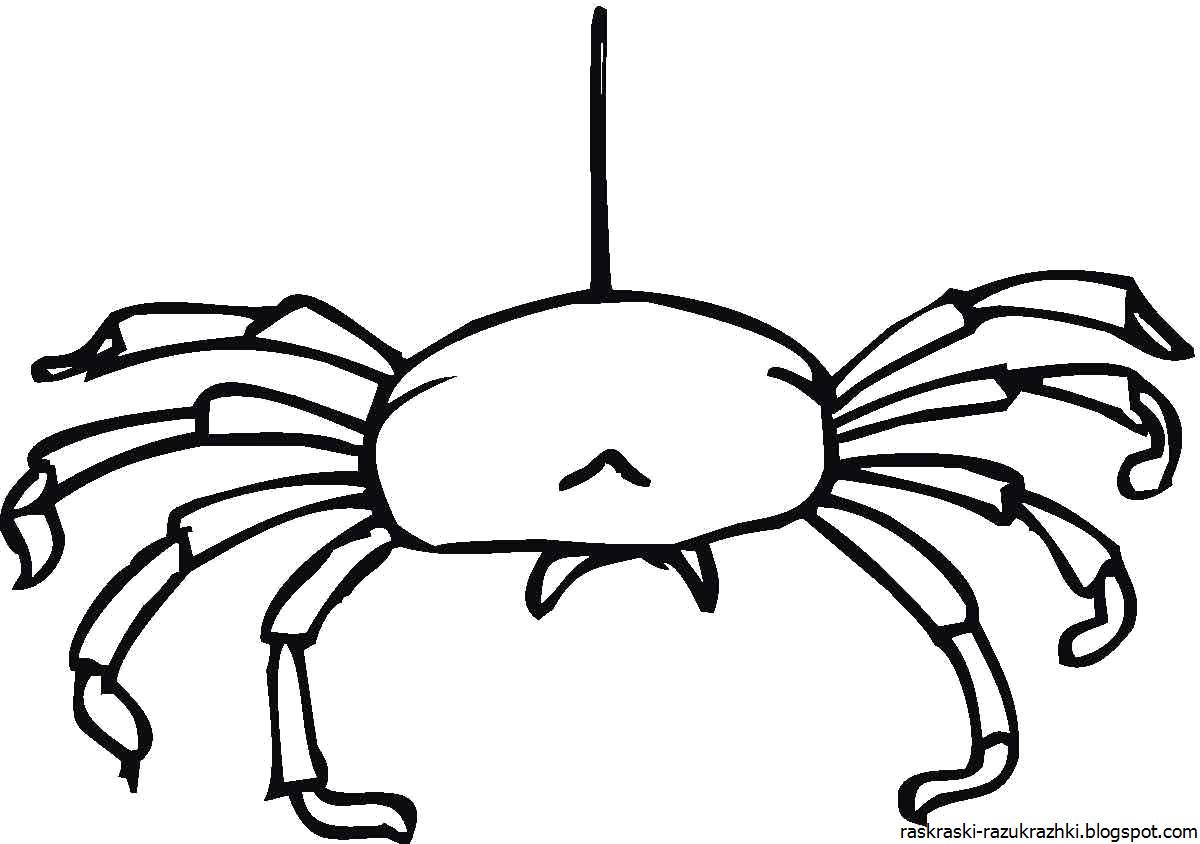 Восхитительная страница раскраски пауков для детей