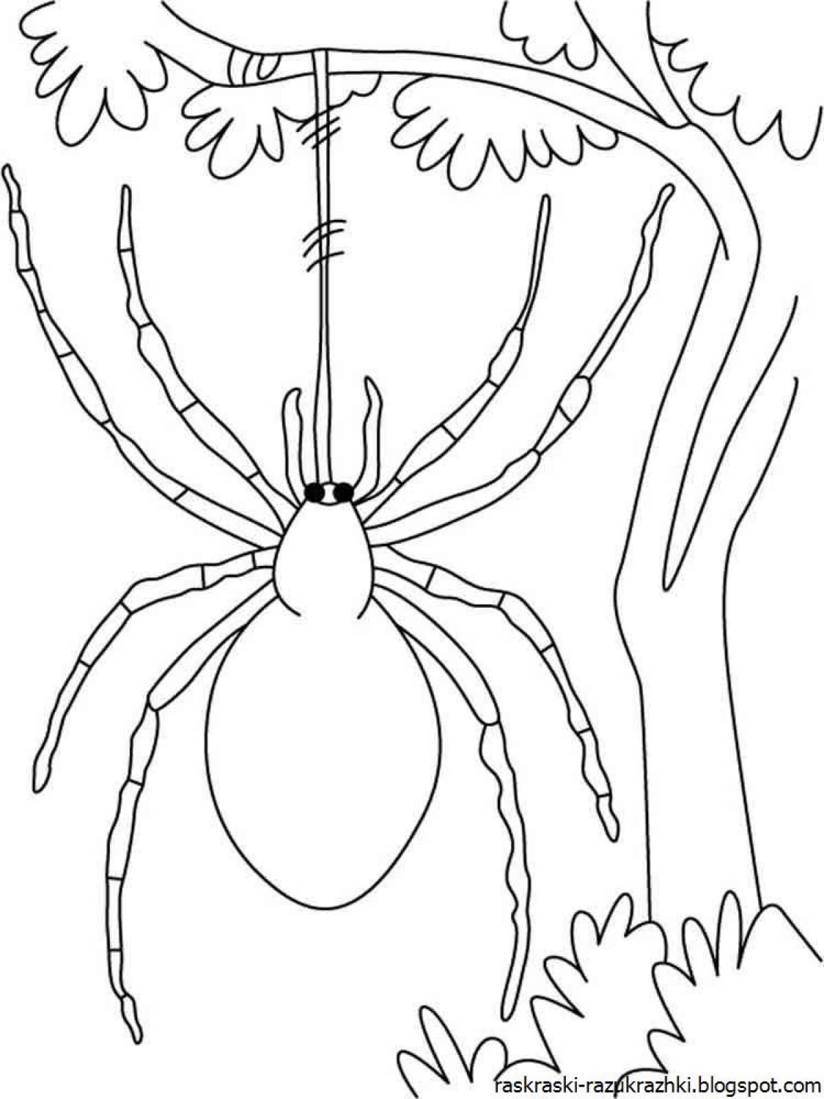 Spider for kids #4