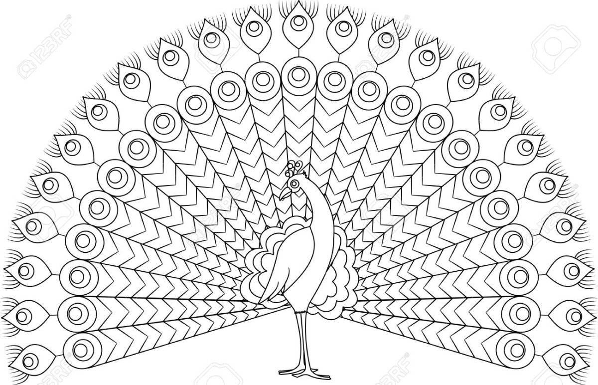 Fairy peacock coloring book for kids