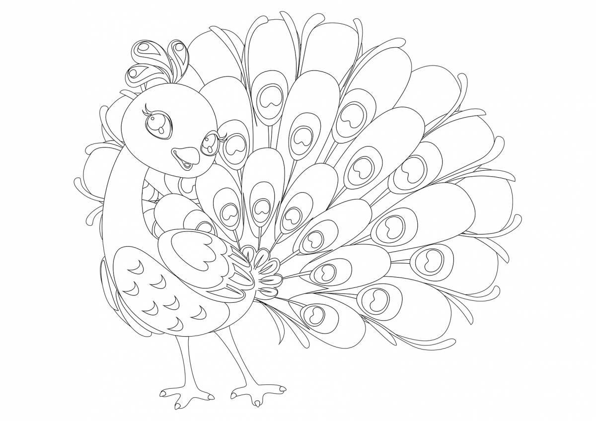 Exquisite peacock coloring book for kids
