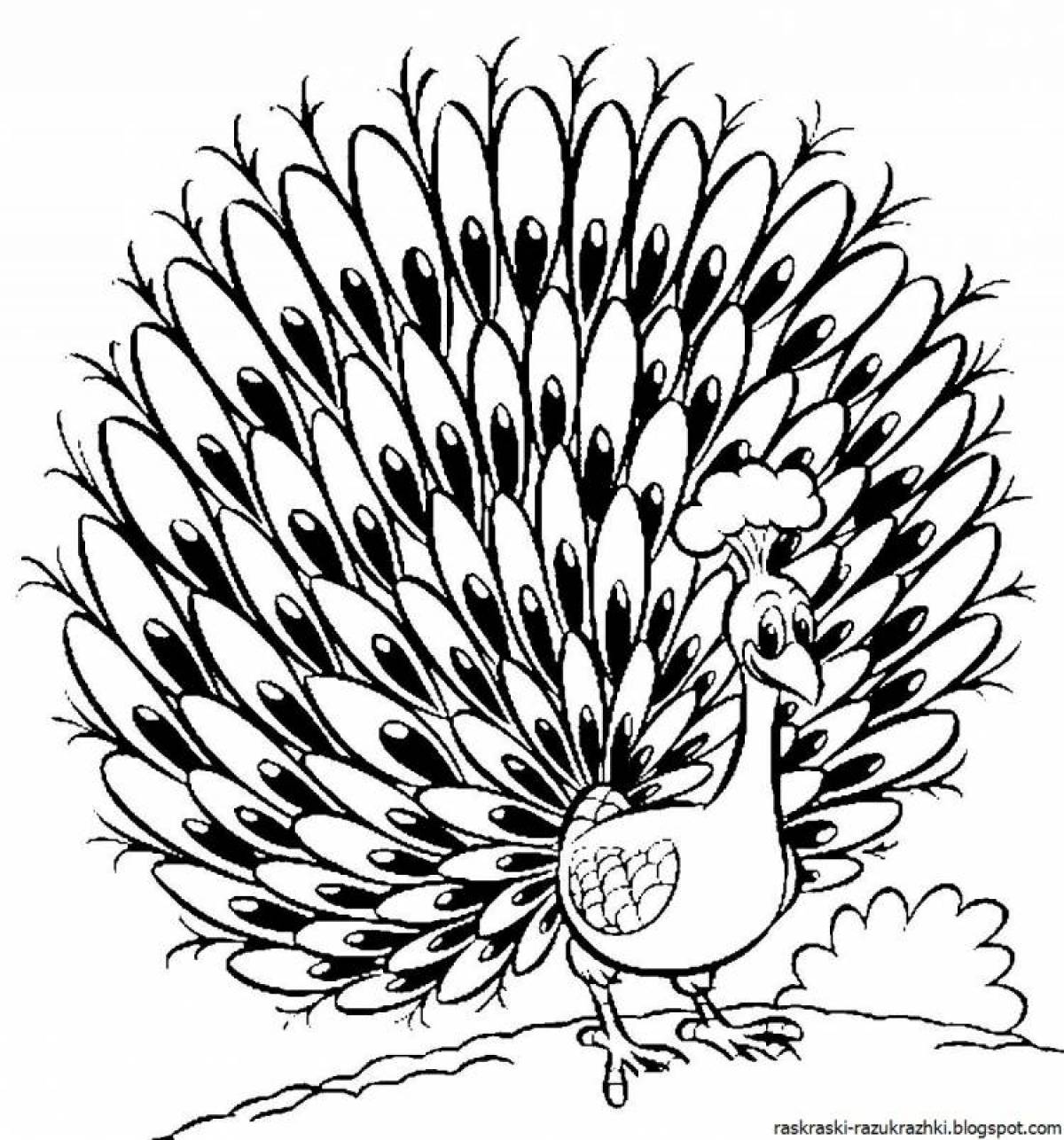 Amazing peacock coloring book for kids