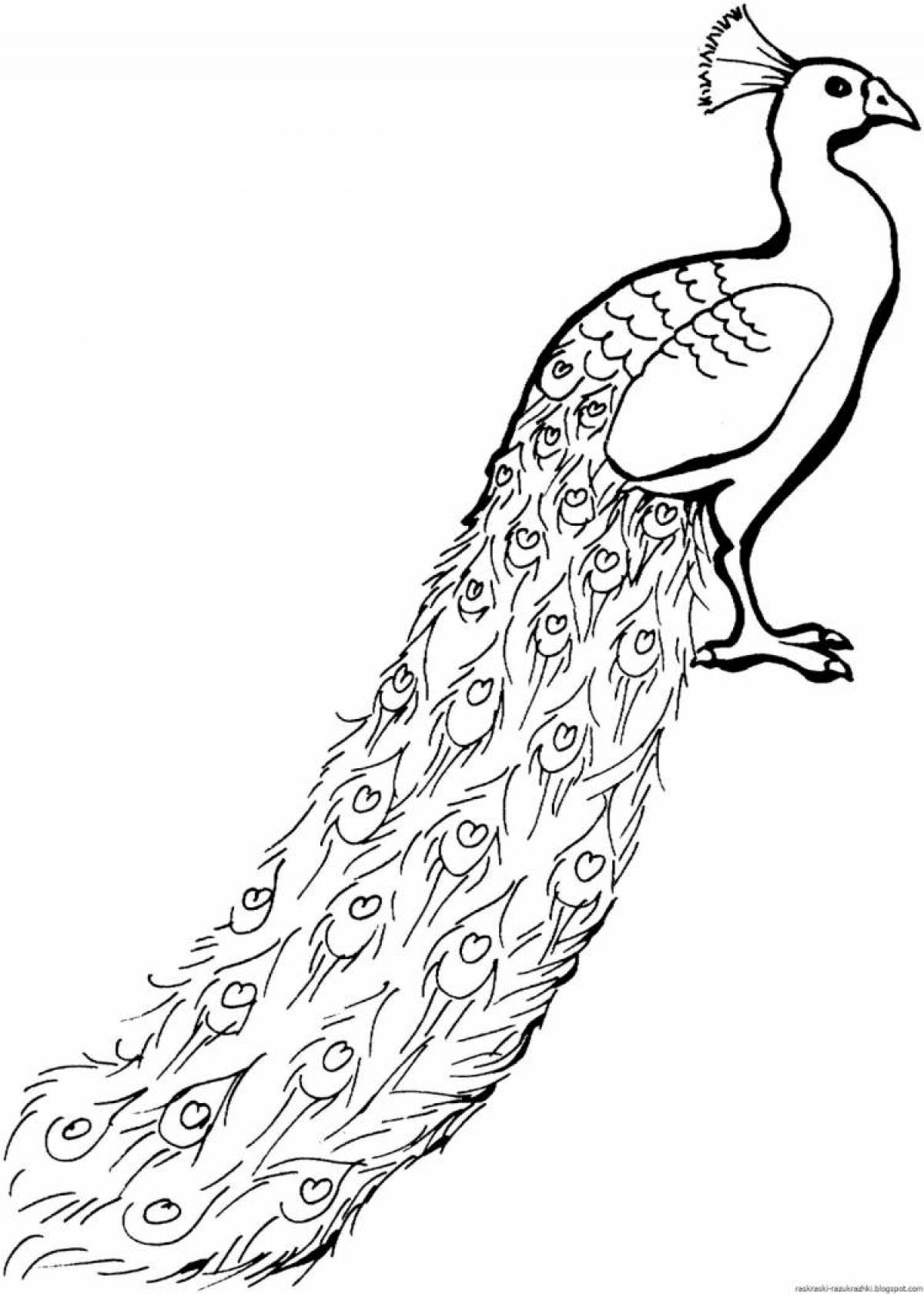 Amazing peacock coloring book for kids