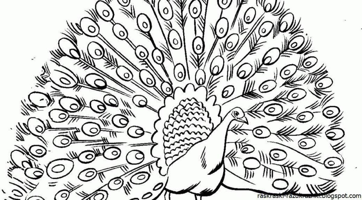 Coloring page dazzling peacock for kids
