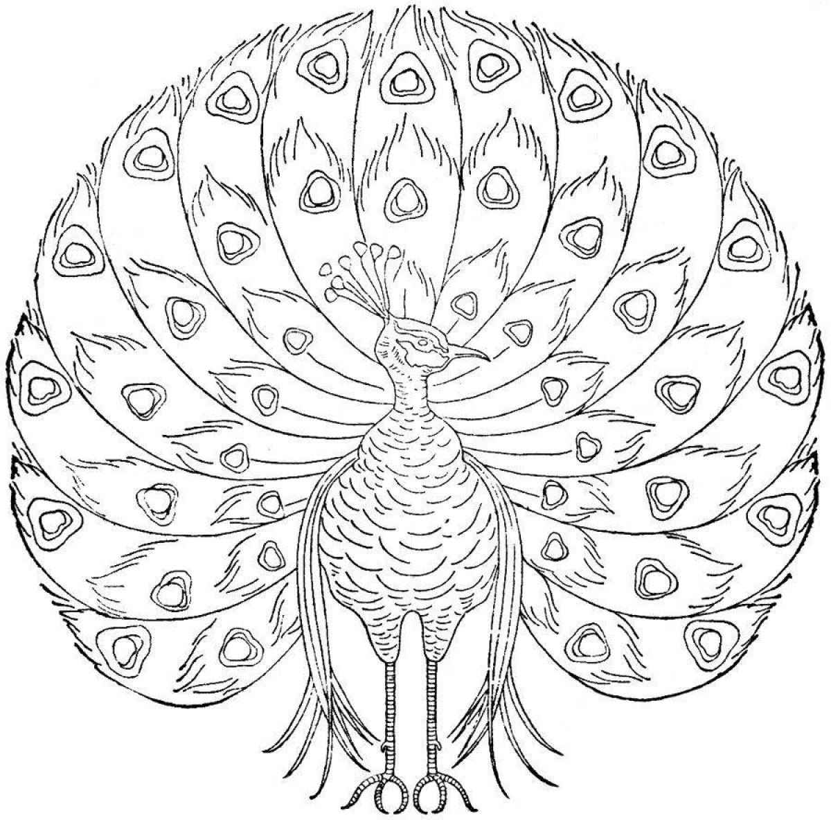 Shining peacock coloring book for kids
