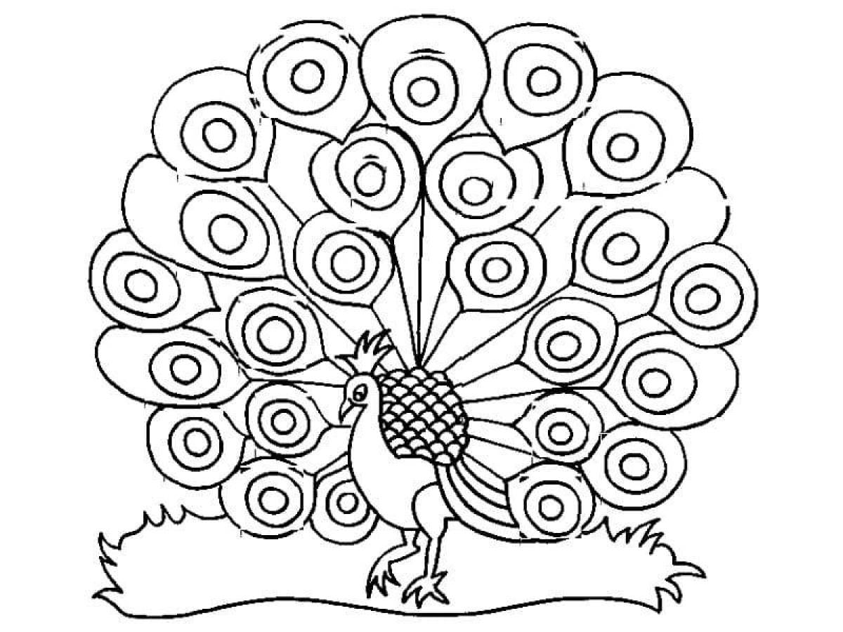 Live peacock coloring book for kids
