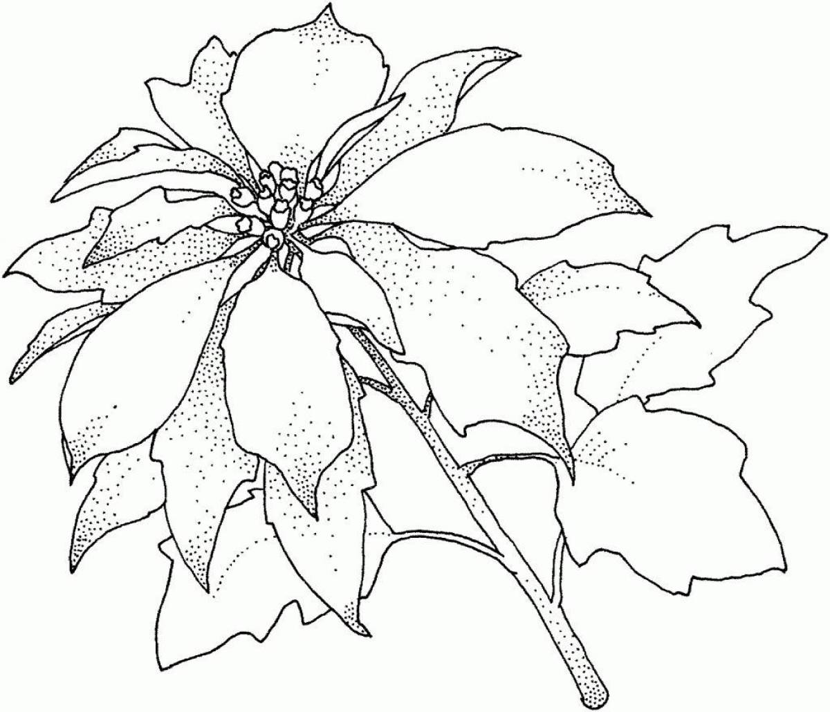 Glowing indoor plants coloring page