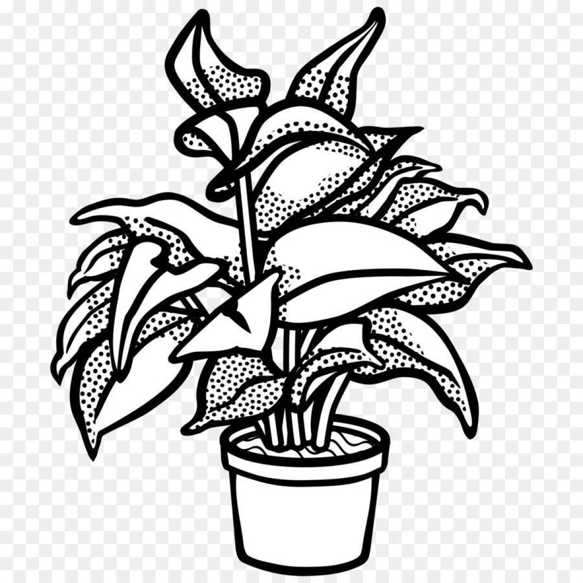Elegant houseplant coloring pages
