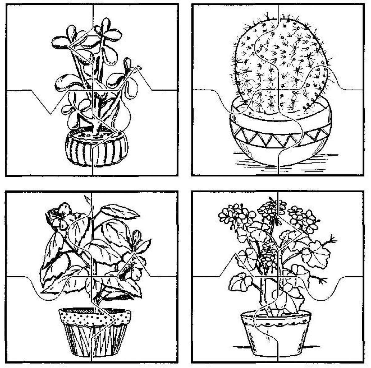 Fine houseplant coloring pages