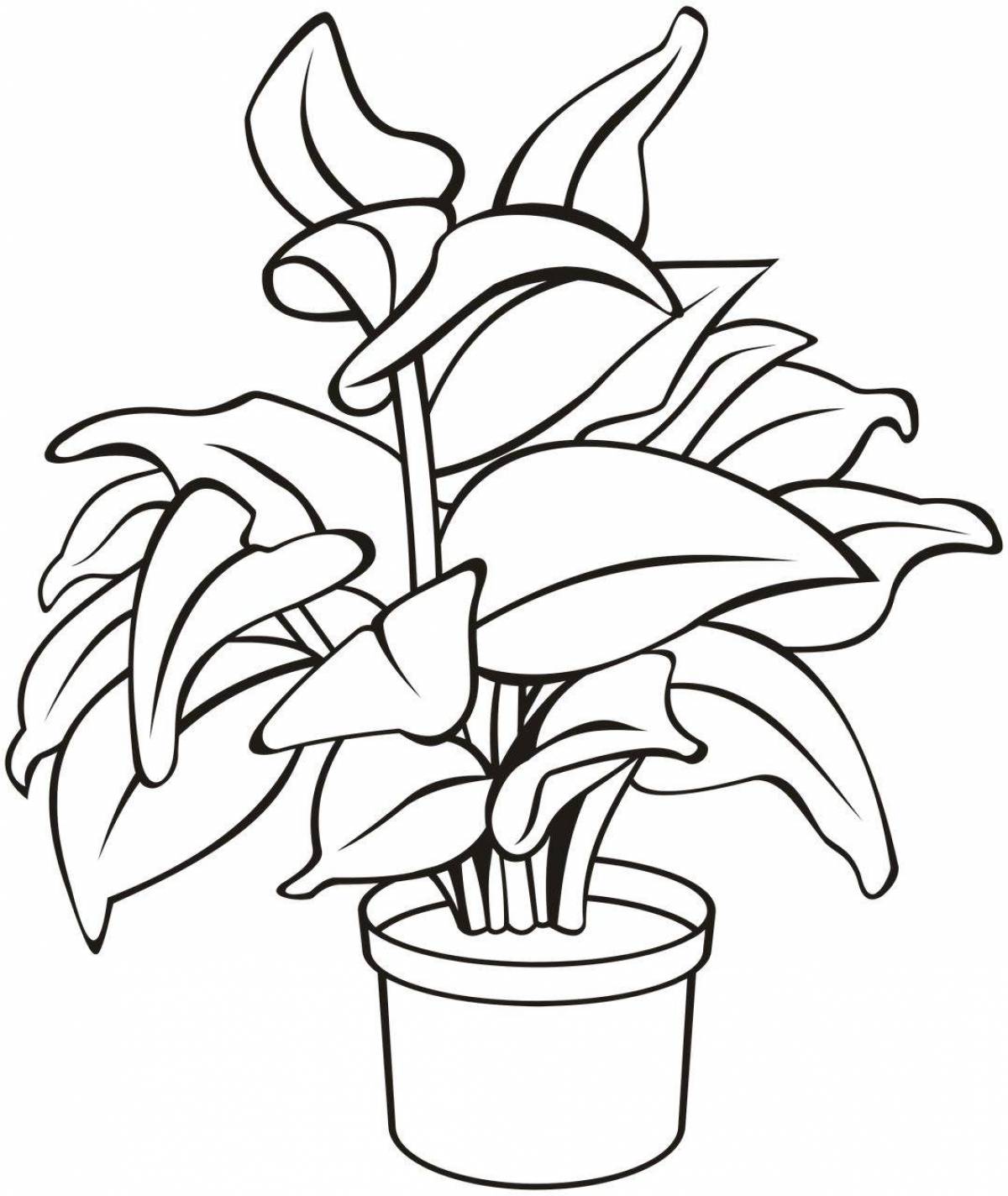 Adorable houseplants coloring pages