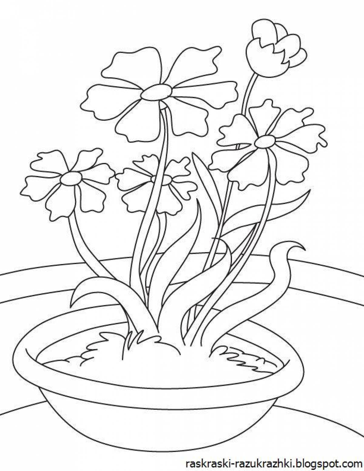 Charming houseplants coloring book