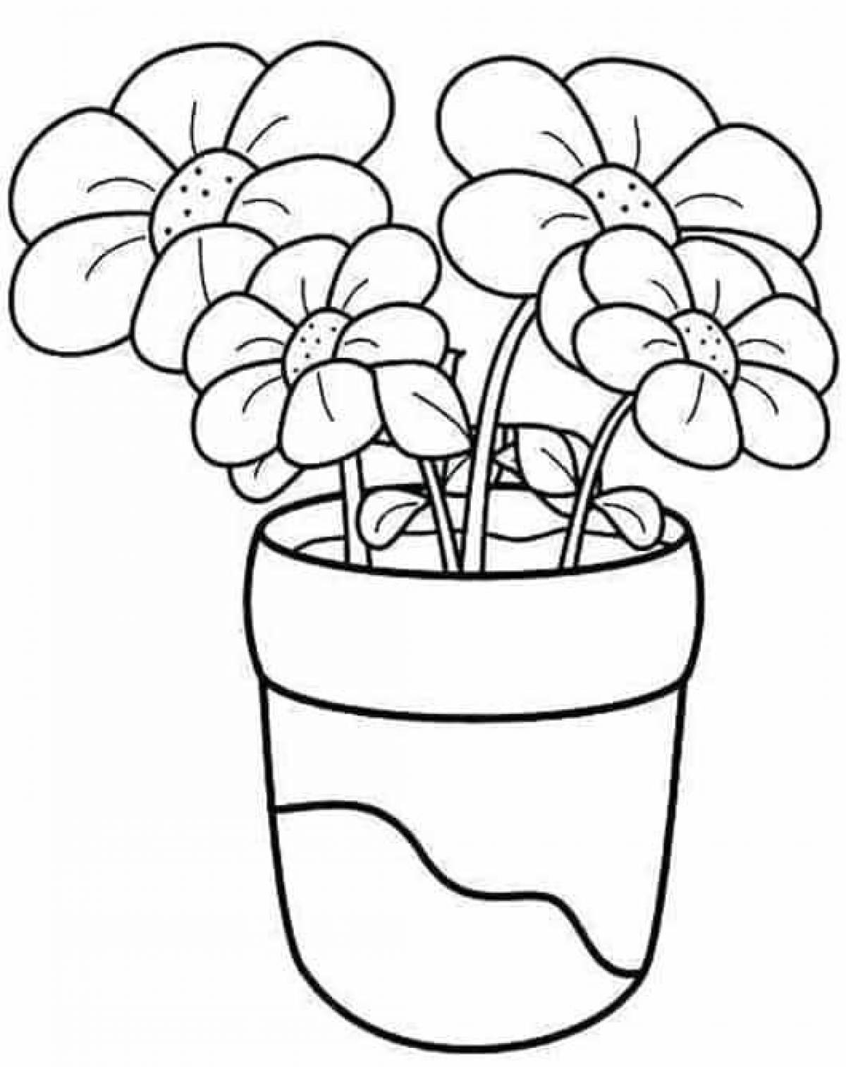Attractive houseplant coloring pages