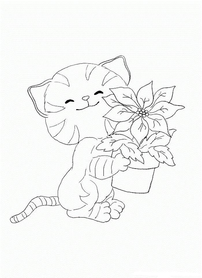 Кот с цветком