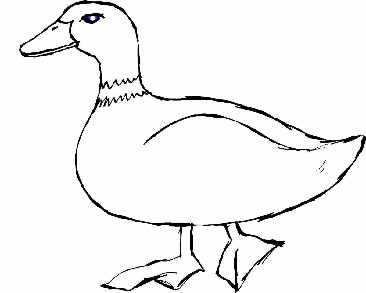 Fancy duck coloring book for kids