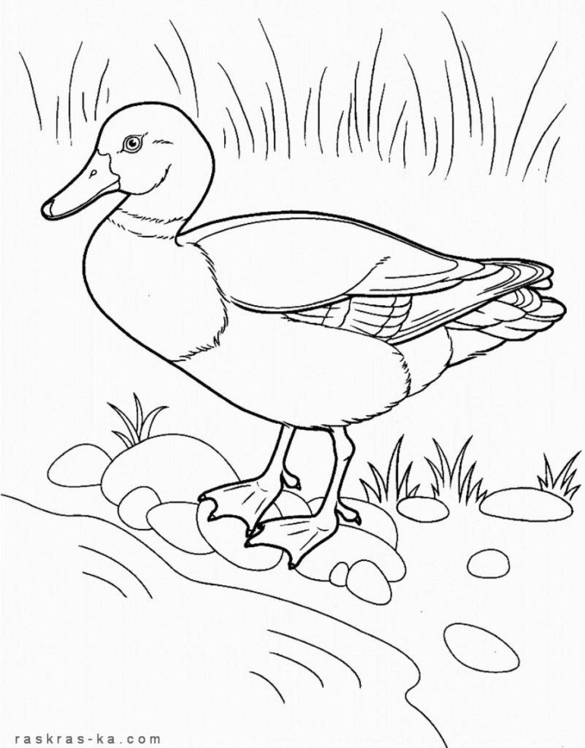 Holiday duck coloring book for kids