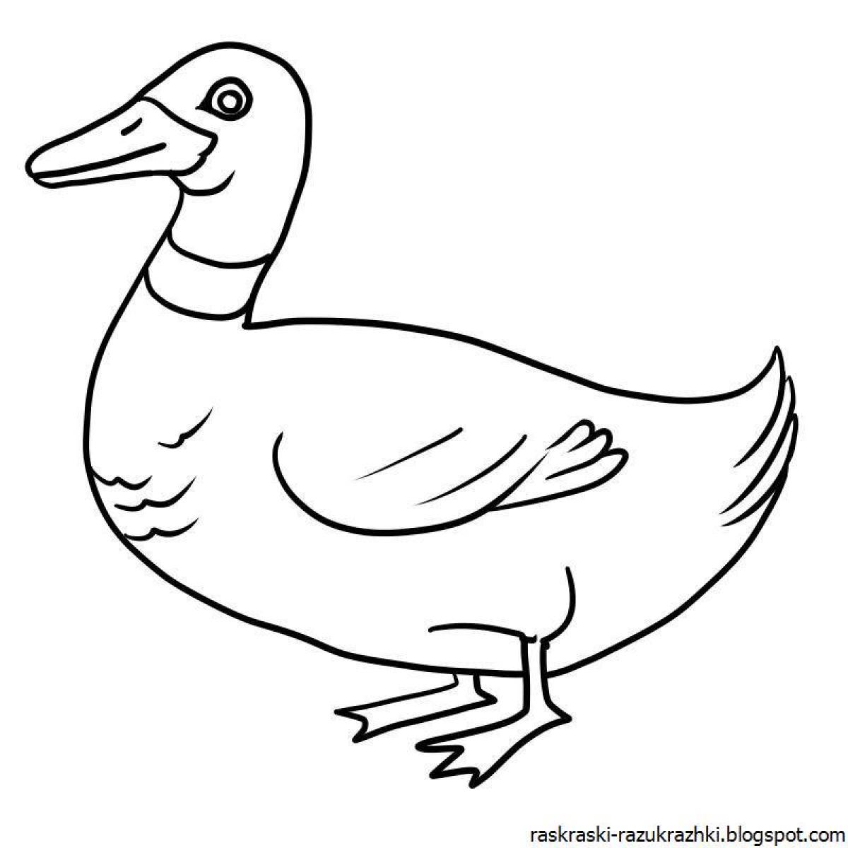 Magic duck coloring book for kids