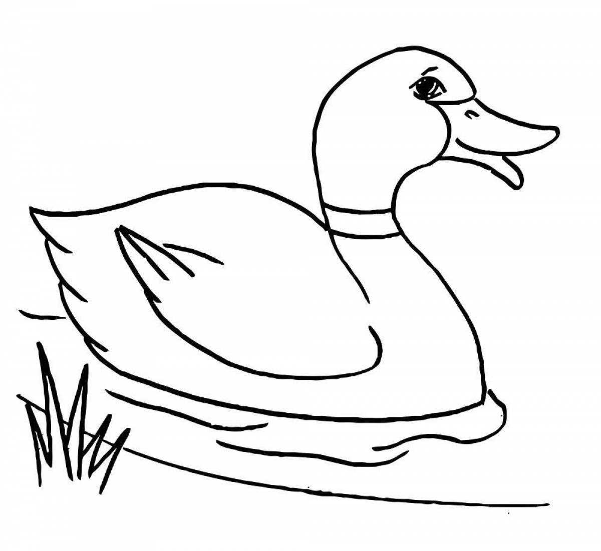 Colorful duck coloring book for kids