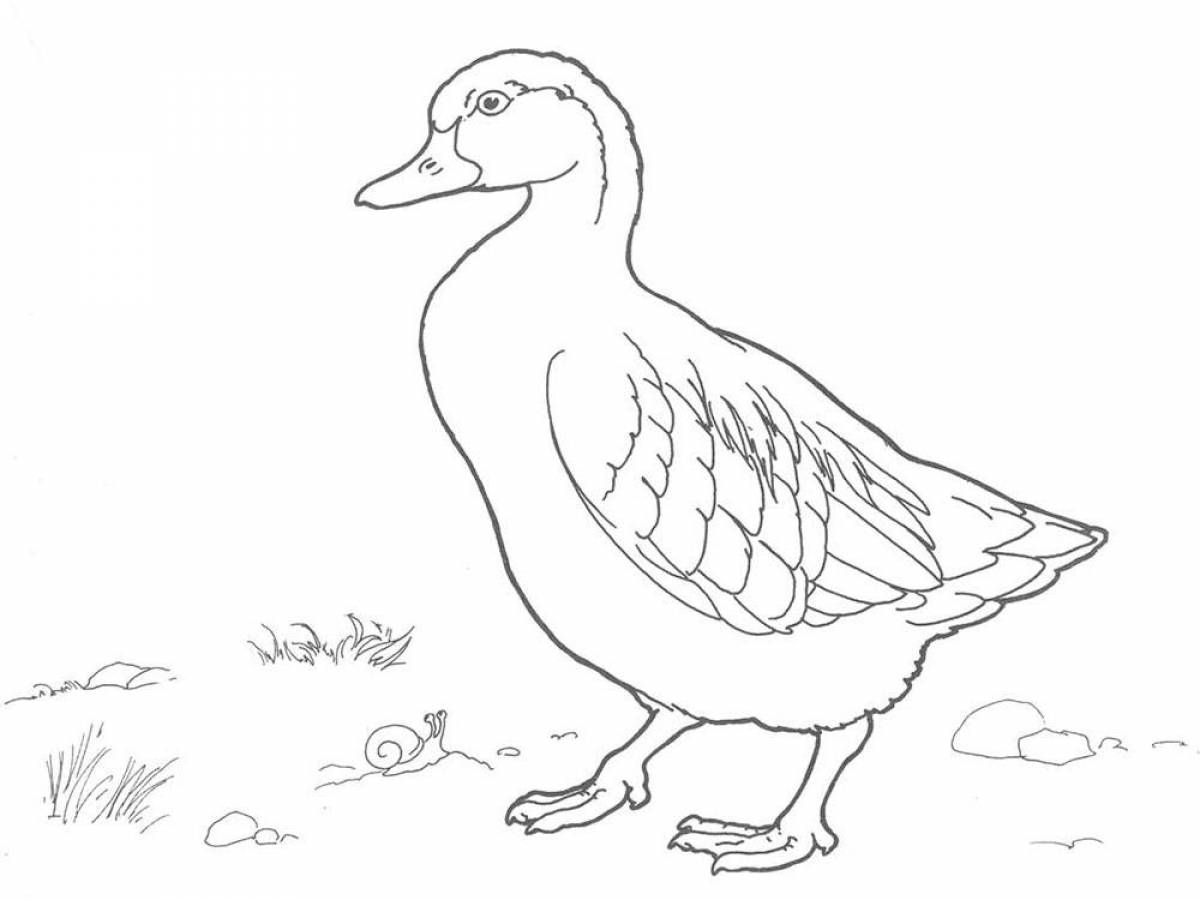 Color-fiesta duck coloring page for children