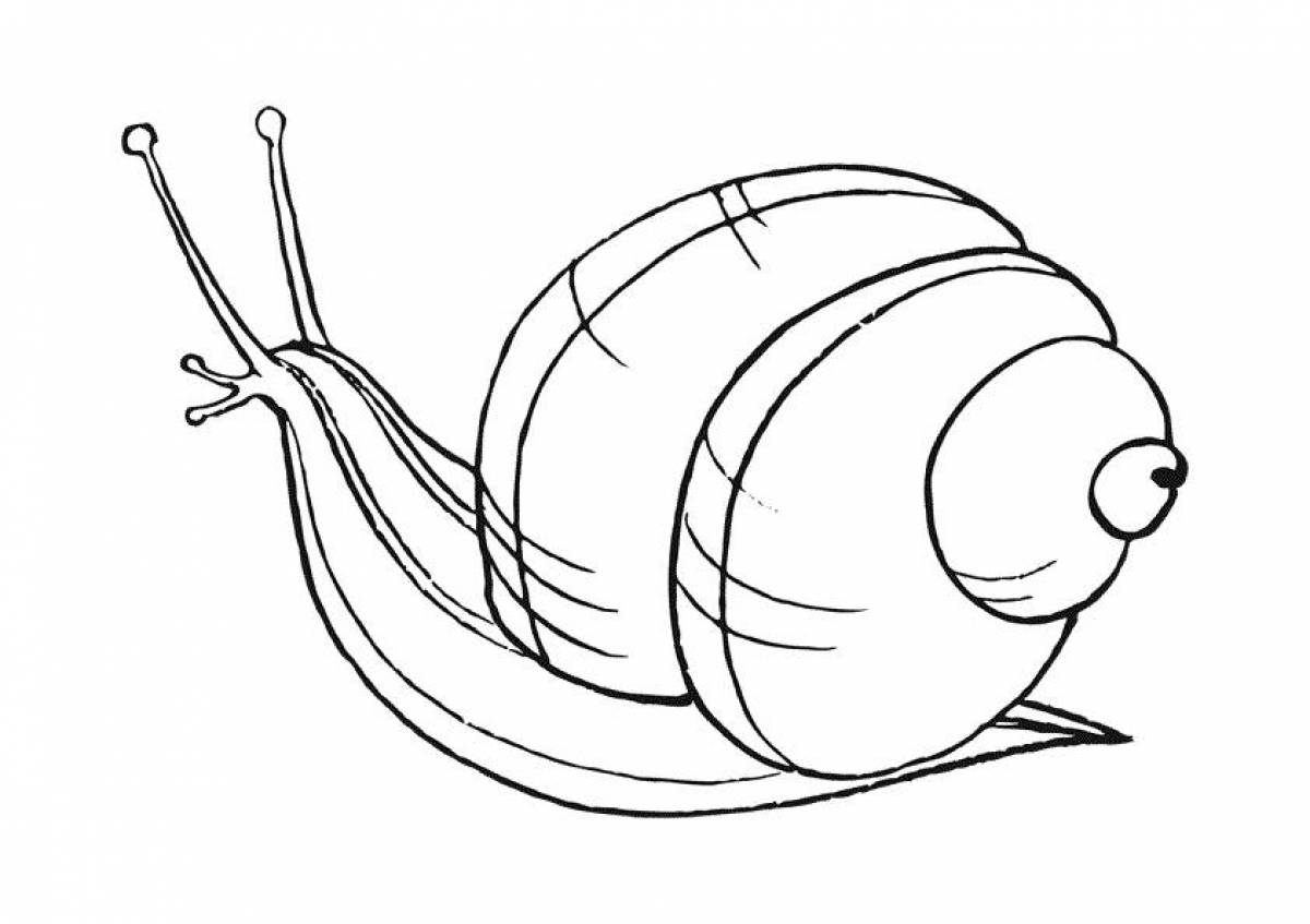 Awesome snail coloring pages for kids