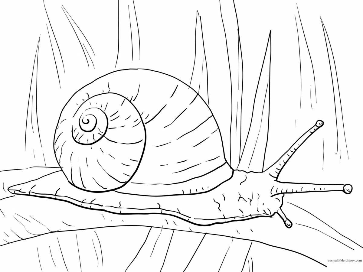 Великолепная раскраска улитка для детей