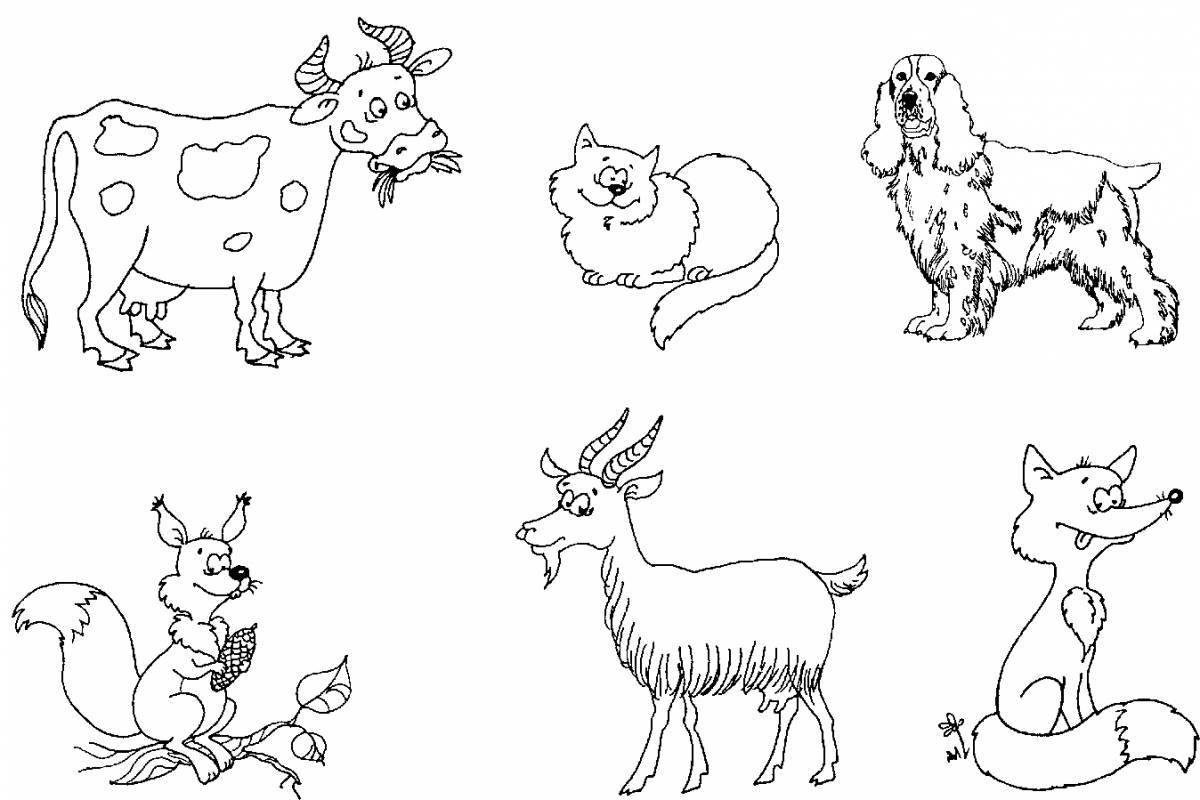 Забавные раскраски домашних животных для детей 6-7 лет