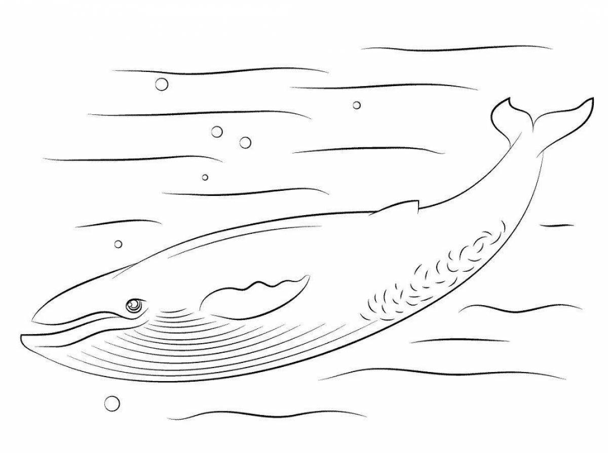 Colored whale coloring page for kids