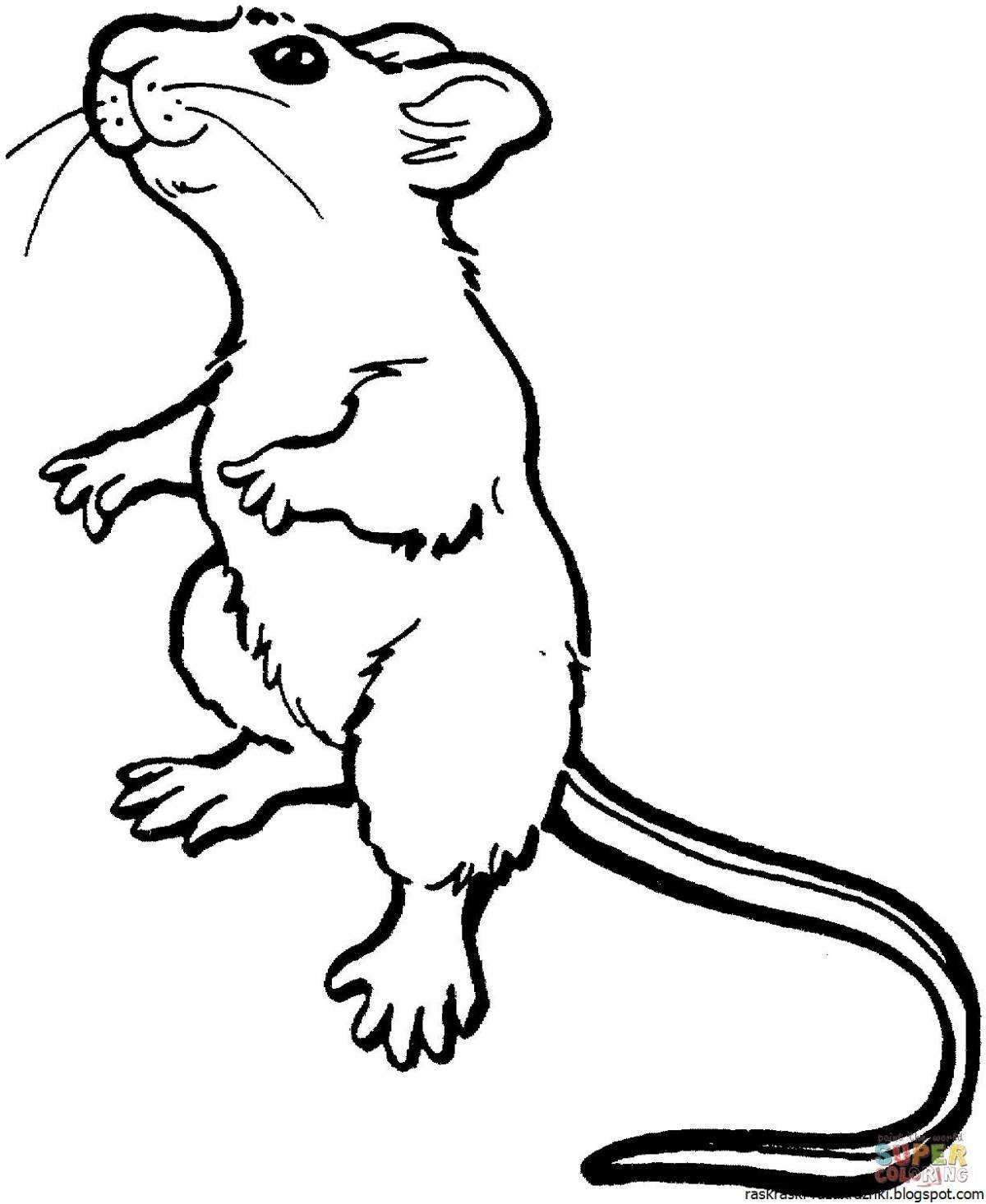 Яркая раскраска мышонка