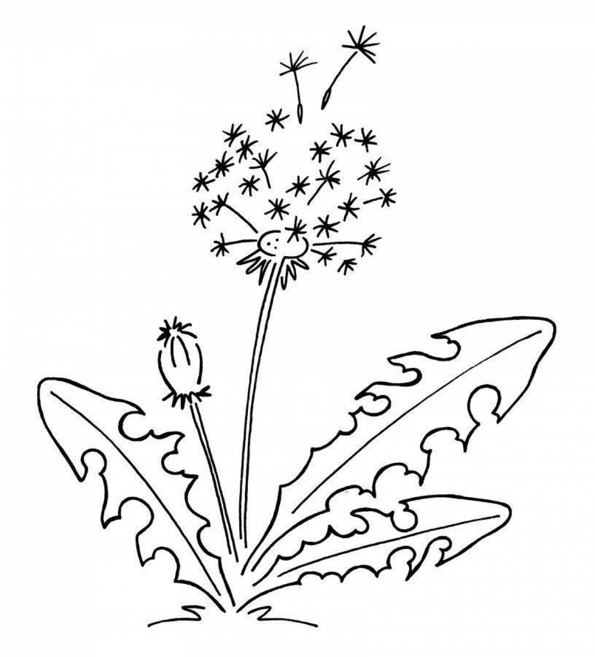 Coloring page cheerful dandelion