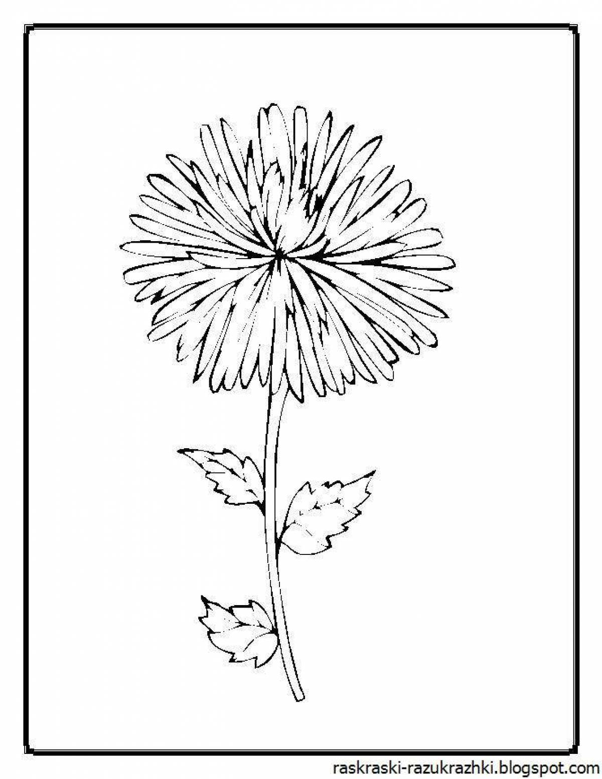 Glittering dandelion coloring page