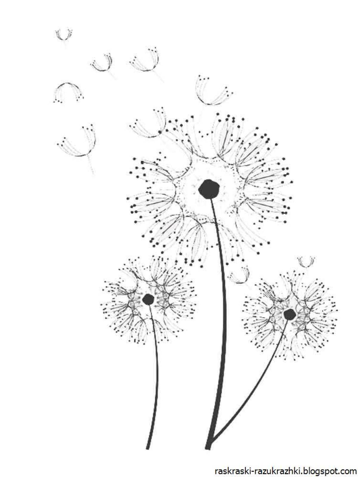 Exotic dandelion coloring page