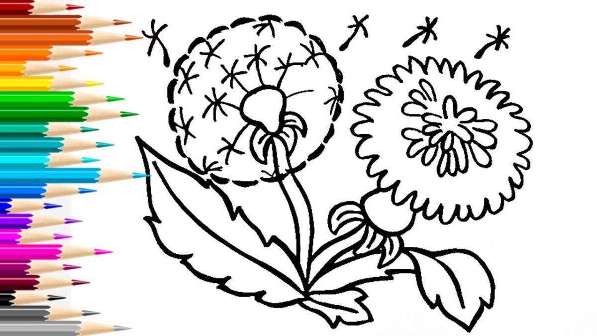 Awesome dandelion coloring book
