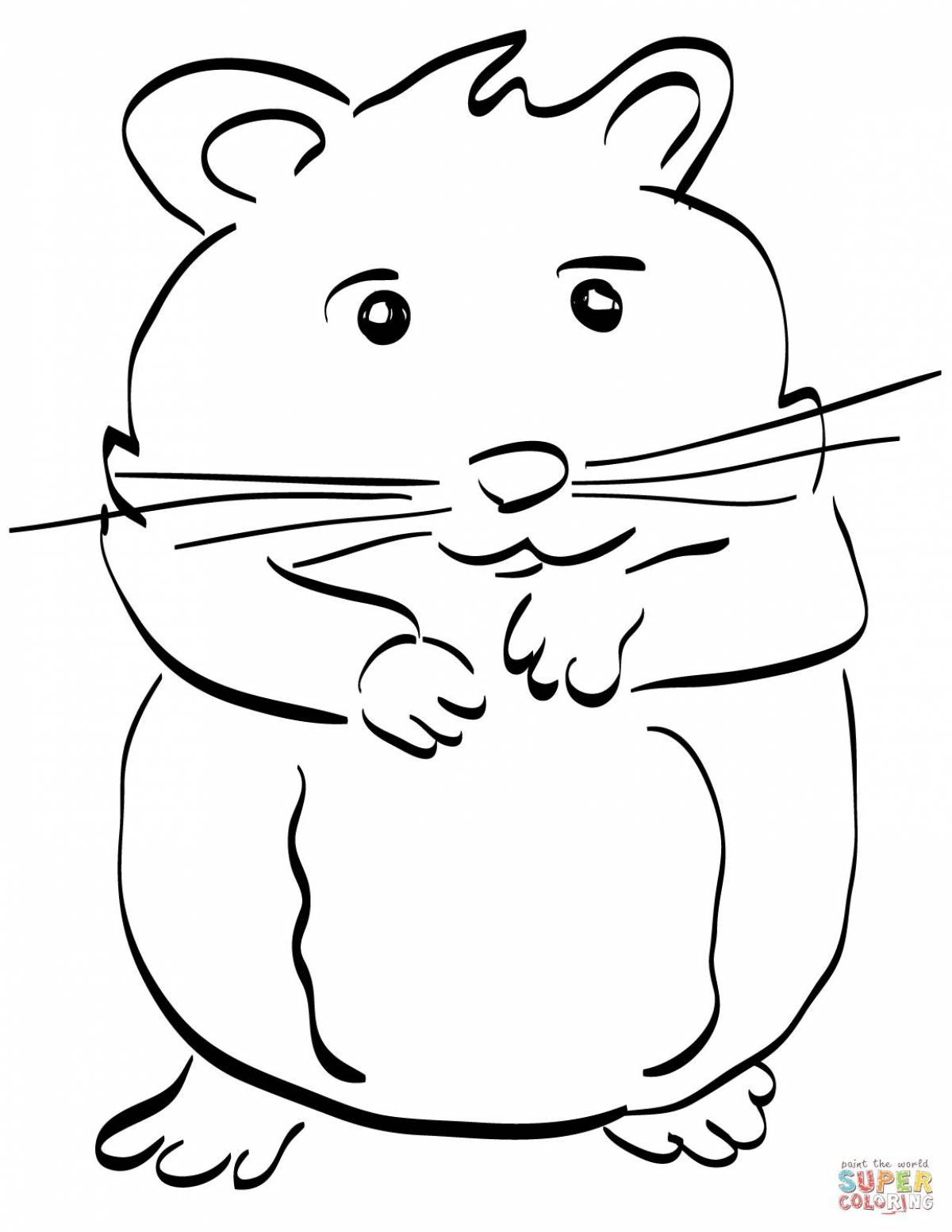 Exquisite hamster coloring book for kids