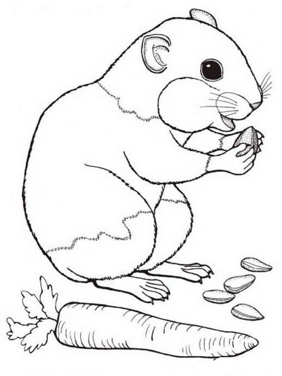 Happy hamster coloring book for kids