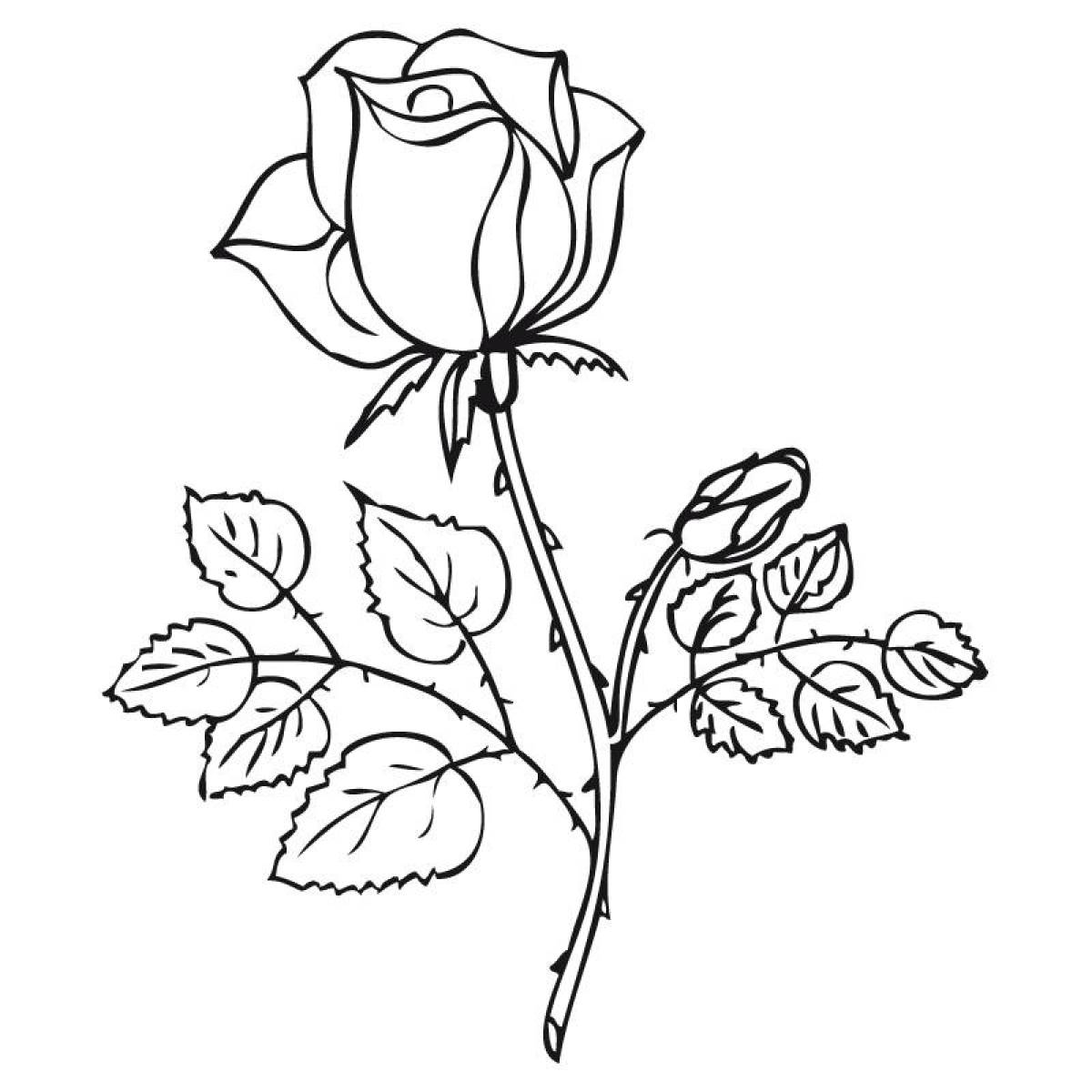 Восхитительная раскраска роза для детей
