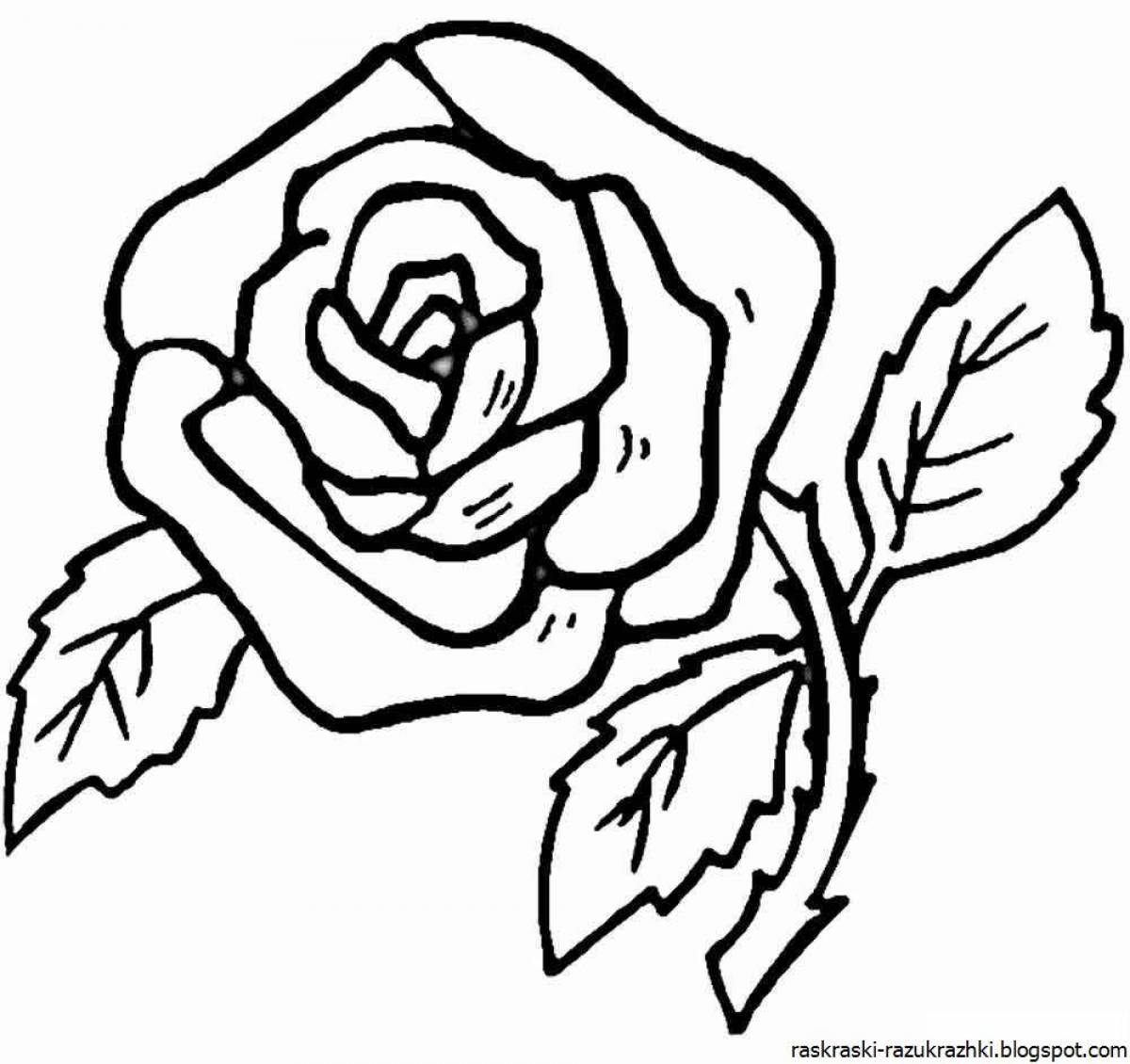 Beautiful rose coloring book for kids