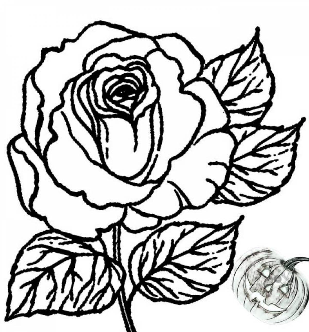Сказочная раскраска роза для детей
