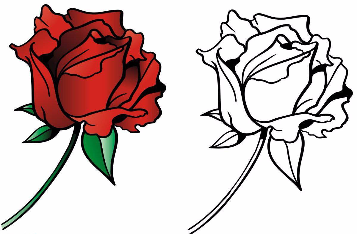 Dazzling rose coloring book for kids