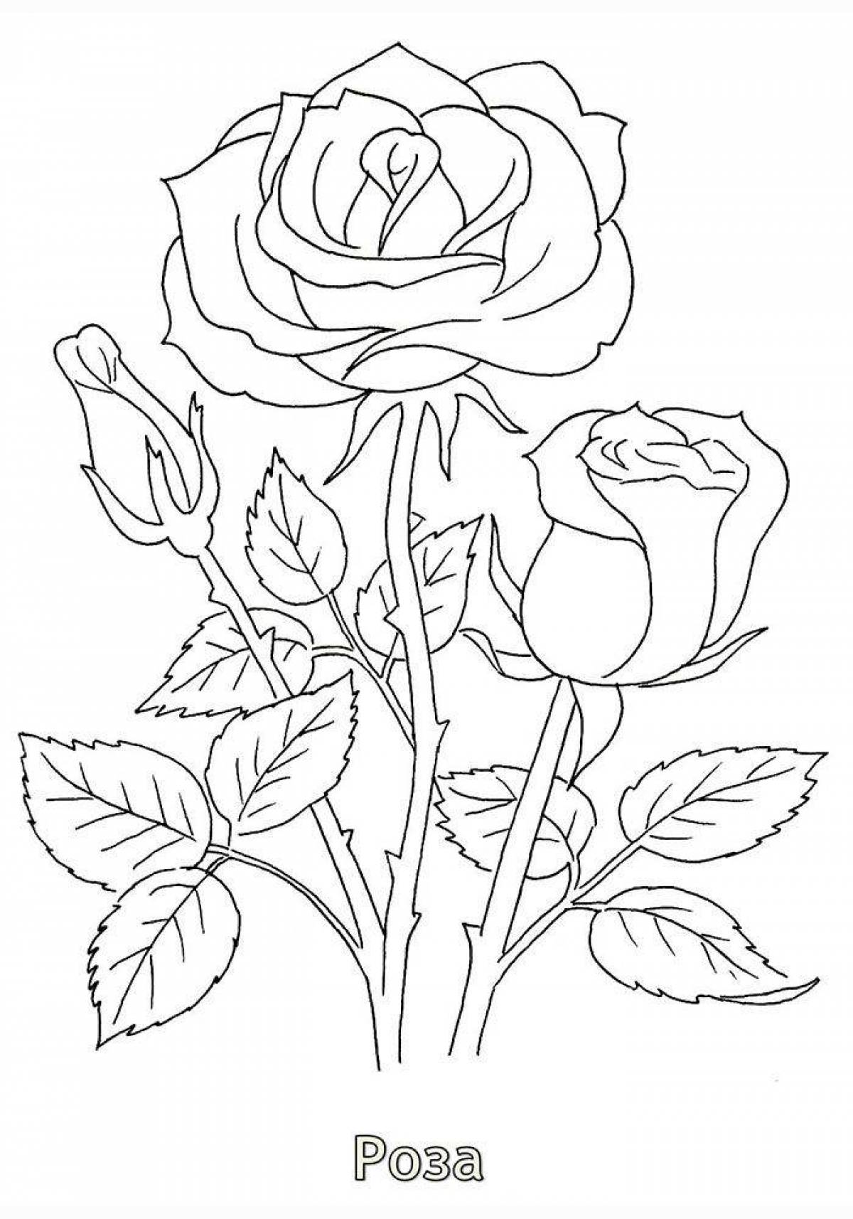 Fun coloring rose for kids
