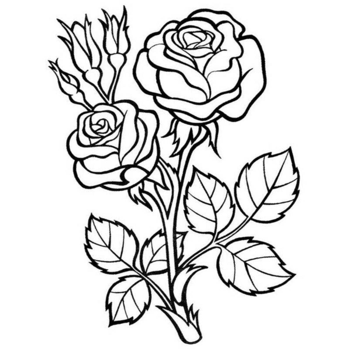 Цветы роза Раскраски цветы для девочек